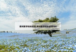 我对新学校的感受,我对新学校的感受500