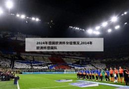 2024年德国欧洲杯分组情况,2014年欧洲杯德国队