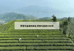 梦想与追求的体会,梦想与追求1500字