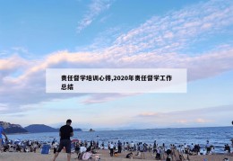 责任督学培训心得,2020年责任督学工作总结