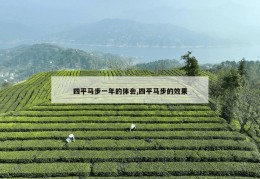 四平马步一年的体会,四平马步的效果