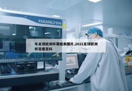 年足球欧洲杯赛程表图片,2021足球欧洲杯百度百科