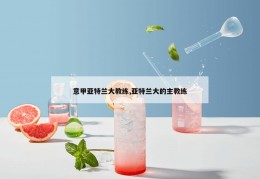 意甲亚特兰大教练,亚特兰大的主教练