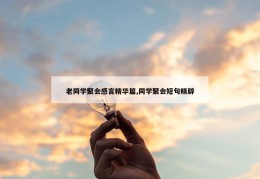 老同学聚会感言精华篇,同学聚会短句精辟