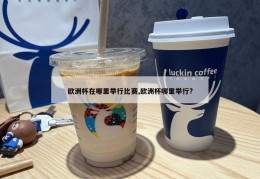 欧洲杯在哪里举行比赛,欧洲杯哪里举行?