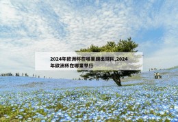 2024年欧洲杯在哪里踢出球队,2024年欧洲杯在哪里举行