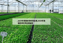 2024年德国欧洲杯预选赛,2024年德国欧洲杯预选赛抽签