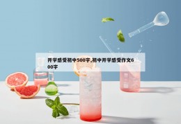 开学感受初中500字,初中开学感受作文600字