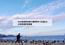 2024欧洲杯在哪个国家举行了比赛,2024年欧洲杯在哪里