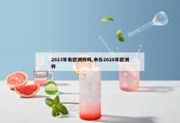 2023年有欧洲杯吗,申办2028年欧洲杯