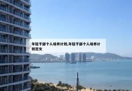 年轻干部个人培养计划,年轻干部个人培养计划范文