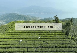 11-12意甲转会,意甲转会一览2020