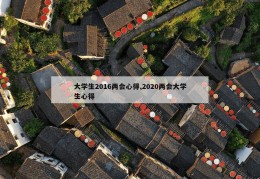 大学生2016两会心得,2020两会大学生心得