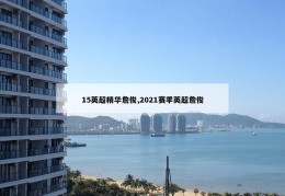 15英超精华詹俊,2021赛季英超詹俊