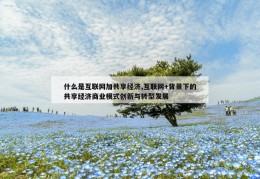 什么是互联网加共享经济,互联网+背景下的共享经济商业模式创新与转型发展