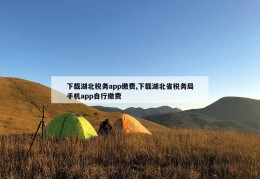 下载湖北税务app缴费,下载湖北省税务局手机app自行缴费