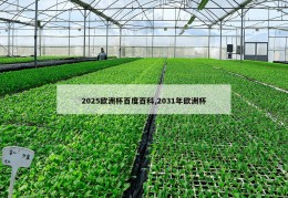 2025欧洲杯百度百科,2031年欧洲杯