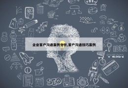 企业客户沟通案例分析,客户沟通技巧案例