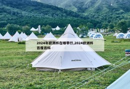 2024年欧洲杯在哪举行,2024欧洲杯百度百科