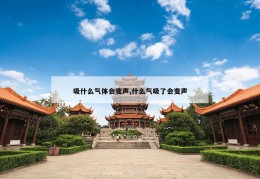 吸什么气体会变声,什么气吸了会变声